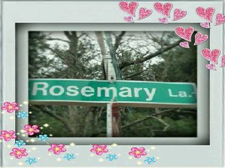 rosemary02