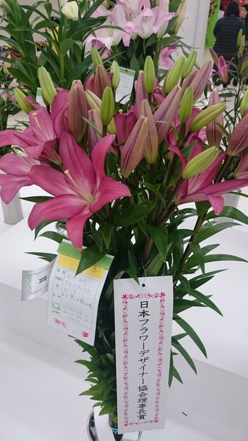 2016-02-14 10.52.16.jpg