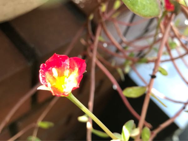 rblog-20171026190452-04.jpg