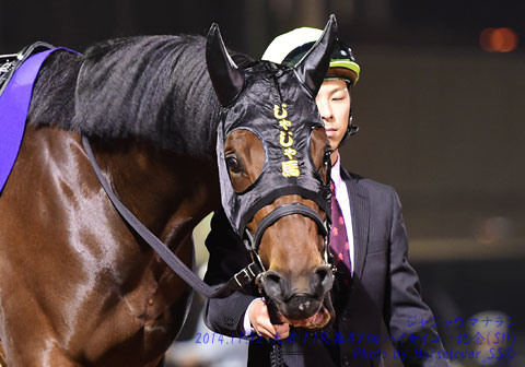 11JajaumaNarashi111214tck11R_01