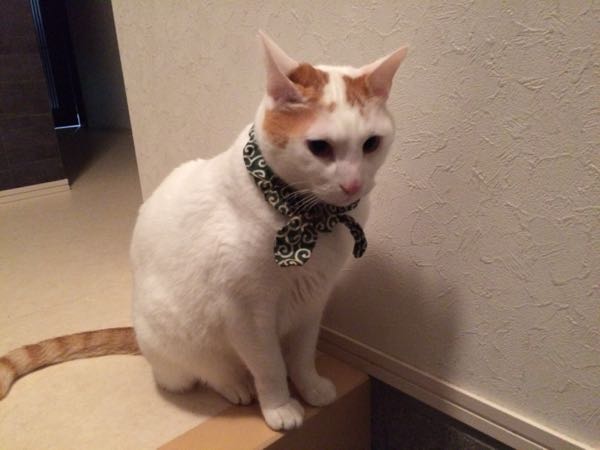 rblog-20150209062451-02.jpg