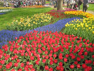 IMG_3624f.JPG