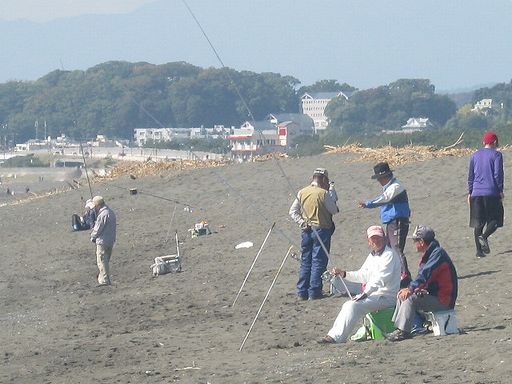 IMG_1554.JPG