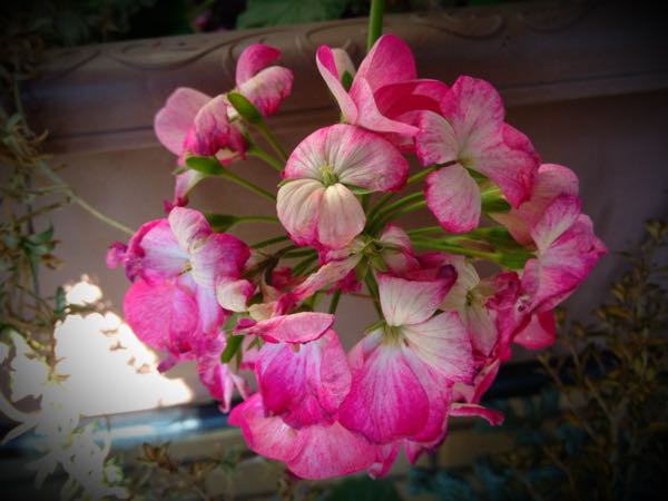 rblog-20141231135913-02.jpg