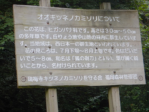 井原山１８.jpg