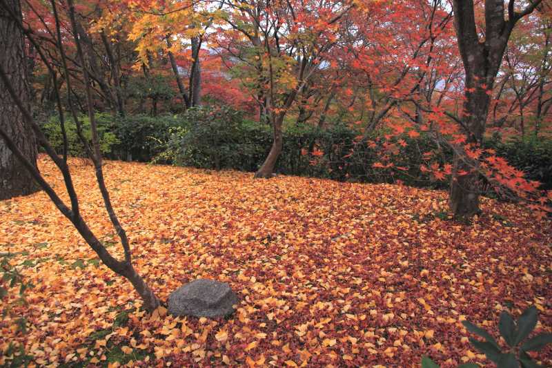 常寂光寺_006.jpg