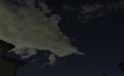 DSCN0688.jpg