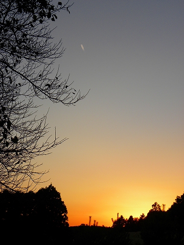 13-10-13　野焼祭7