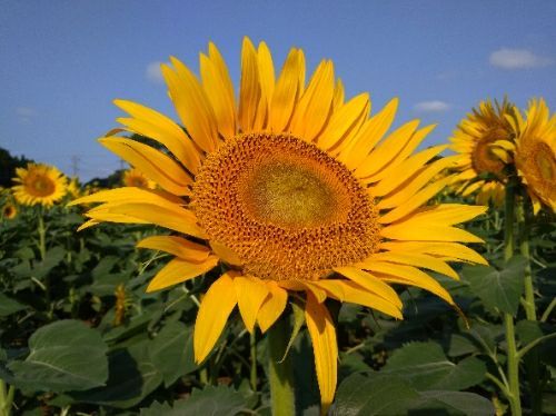 rblog-20180721103036-02.jpg