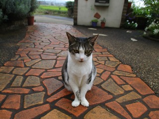 IMG_9900ss.jpg