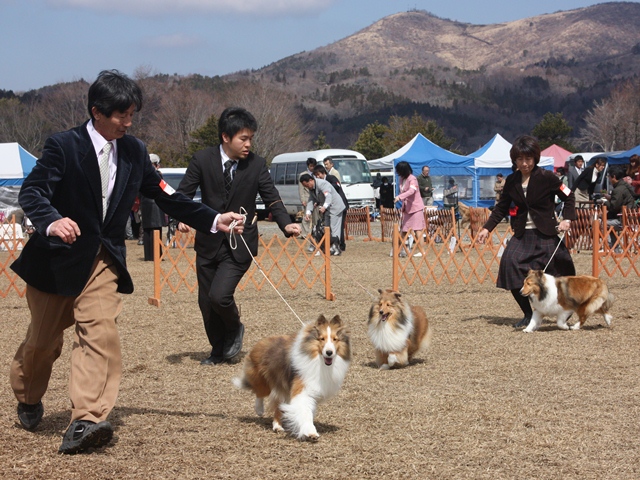 IMG_1180 - コピー.JPG