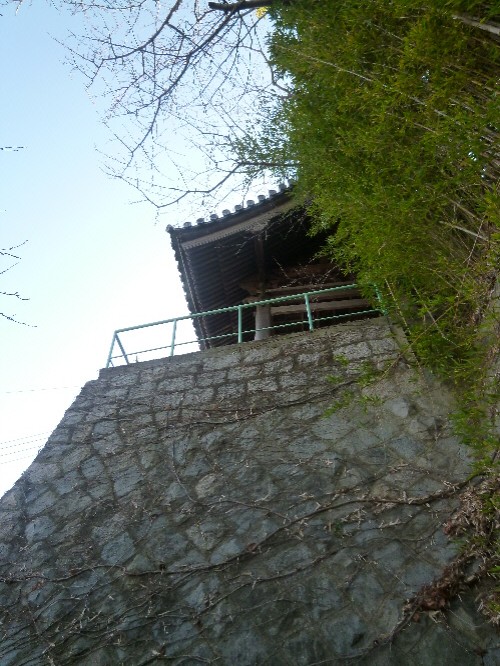 P1080765(1).JPG