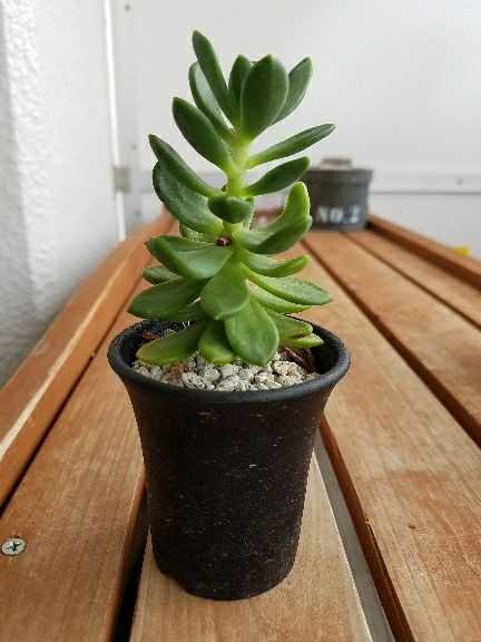 rblog-20170807142153-04.jpg
