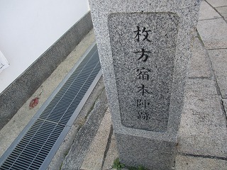 IMG_4589ss.jpg