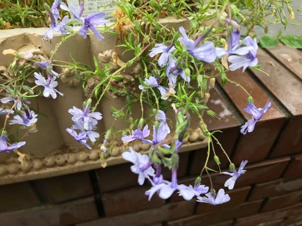 rblog-20190426180928-02.jpg