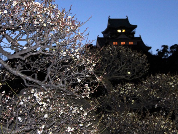 IMG_9388梅園.JPG