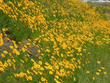 P1020725.JPG