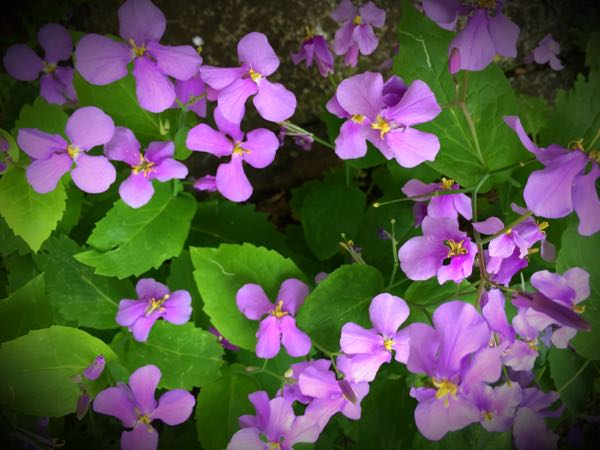 rblog-20160426005907-01.jpg