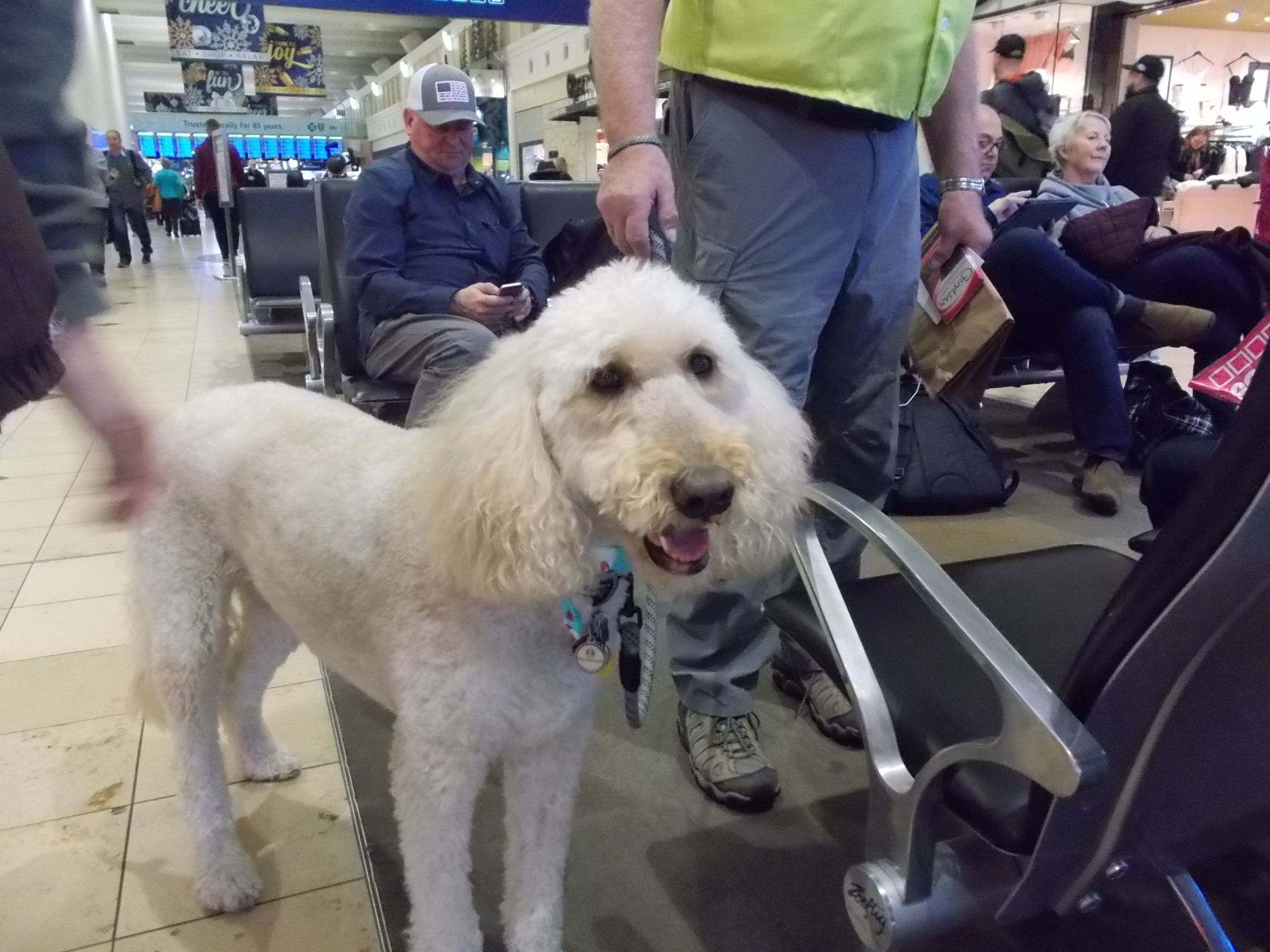 ミネアポリス セントポール国際空港 デルタ スカイクラブ 18 12 17 ラスベガス ロサンゼルスの旅 楽天ブログ