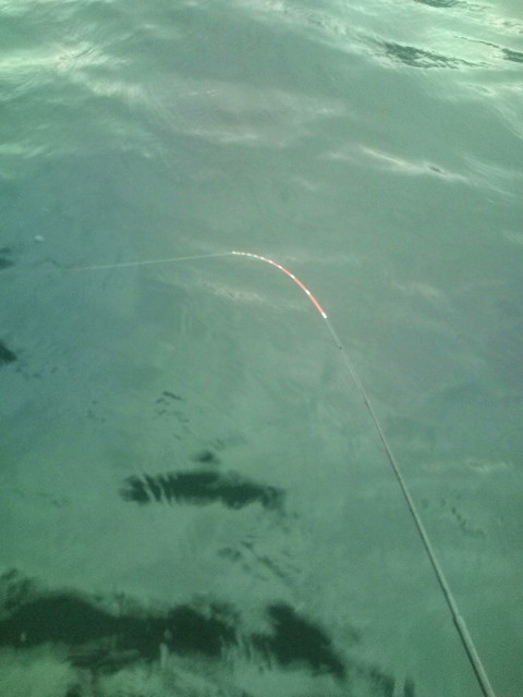 20120707081909.jpg