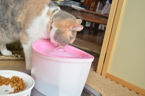 2012.5.17water 1.jpg