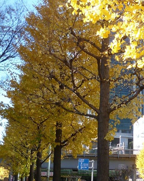P1270908画像2.jpg