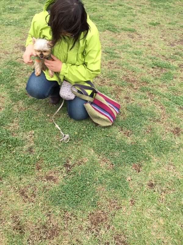 rblog-20160531030910-04.jpg