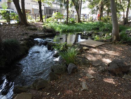 三島　白滝公園