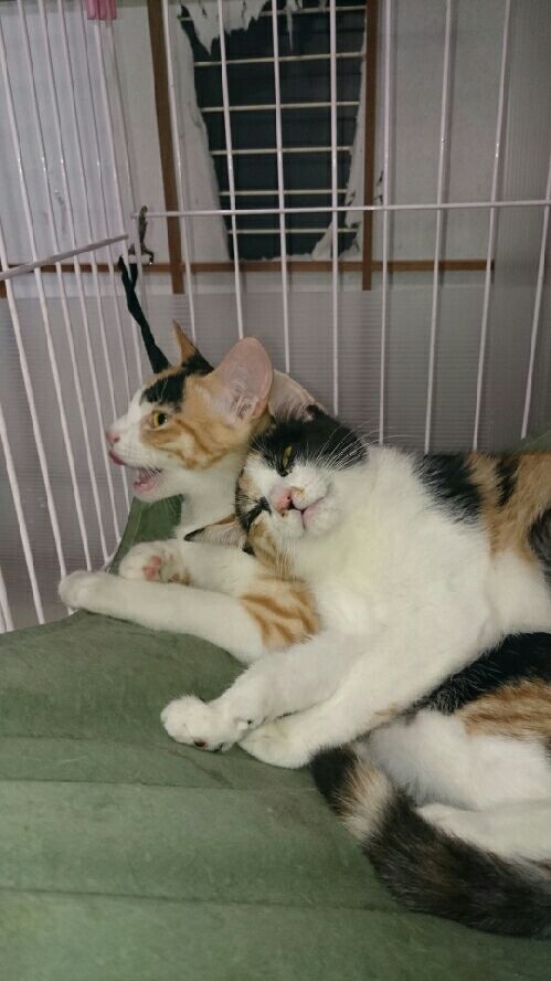 rblog-20151003170403-01.jpg