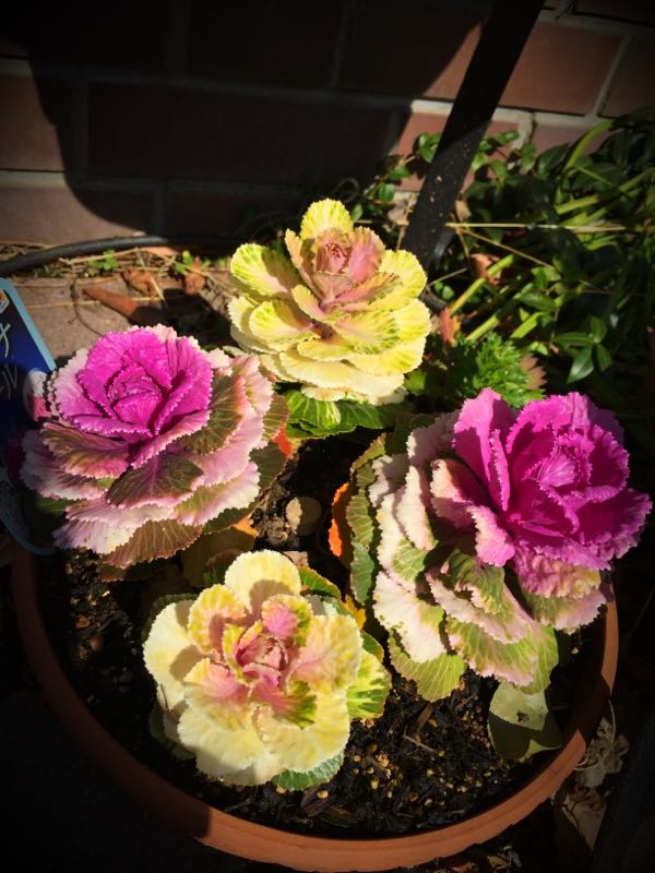 rblog-20150227215219-03.jpg