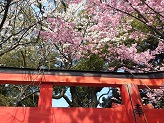 DSC_2717.jpg