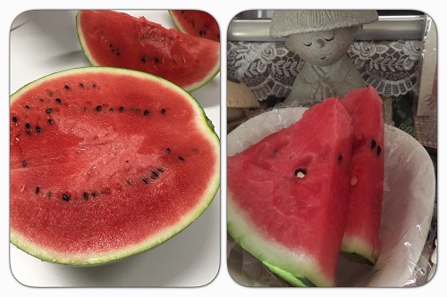 スイカ2