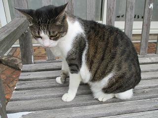 IMG_0789ss.jpg