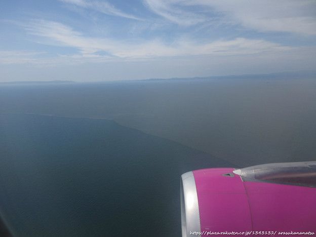 腸の調子を整える5つのフルーツ