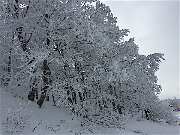 rblog-20160123124529-04.jpg