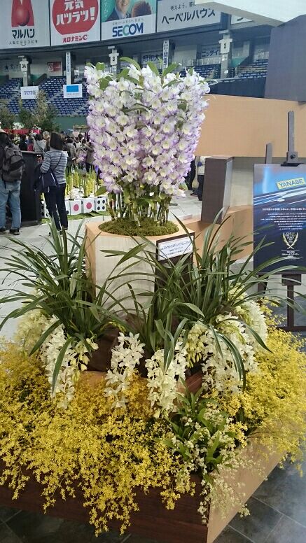 rblog-20160309163336-01.jpg