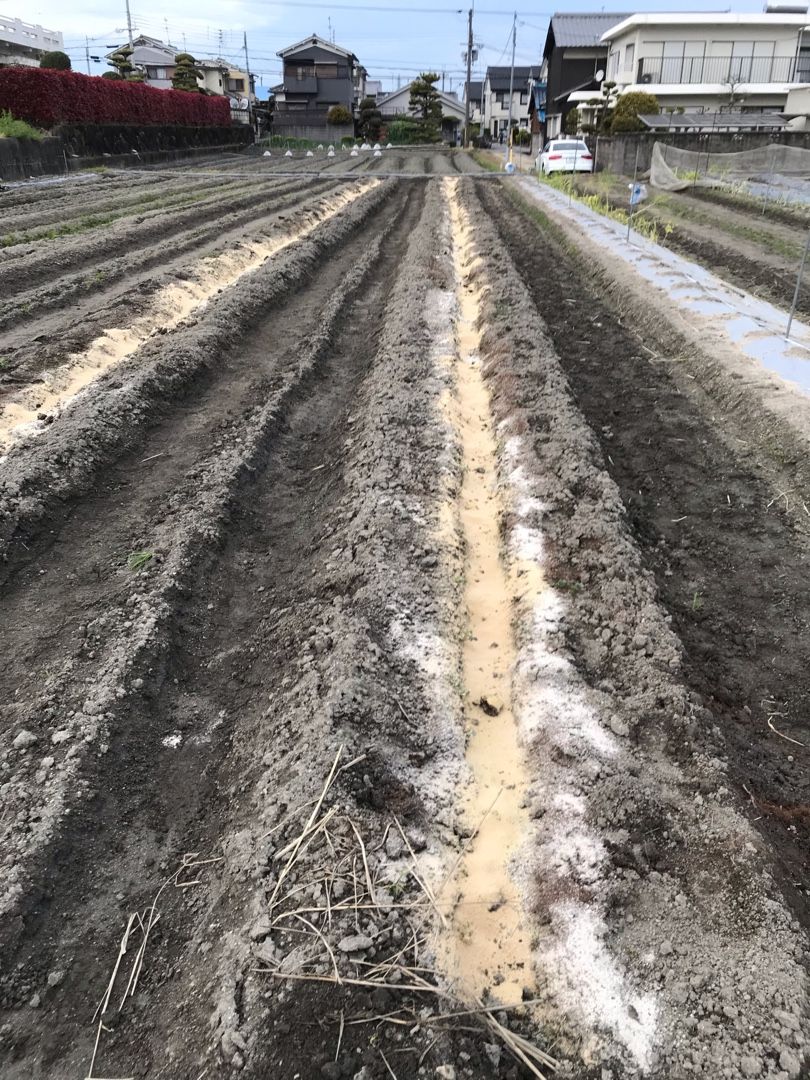 ナスの畝に鶏糞 有機牡蠣がら石灰 米ぬかを溝施肥しました 田中農業村 楽天ブログ
