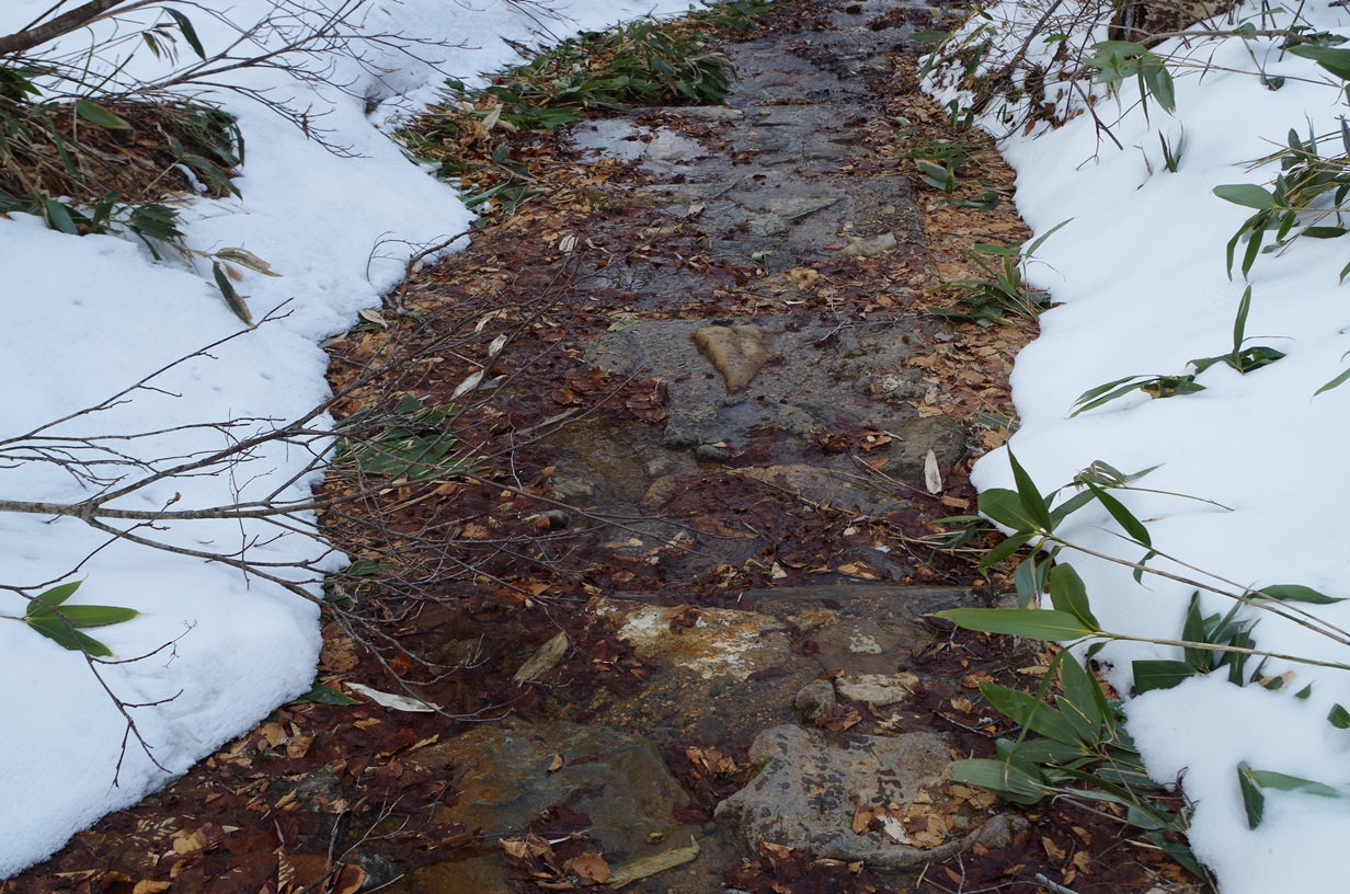 9_IMGP1005.JPG