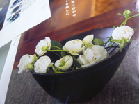 P1000654