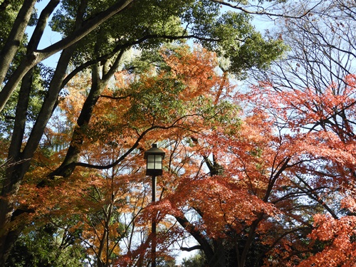 芝公園＆東京タワー