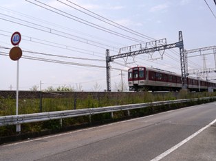 P1050481.jpg