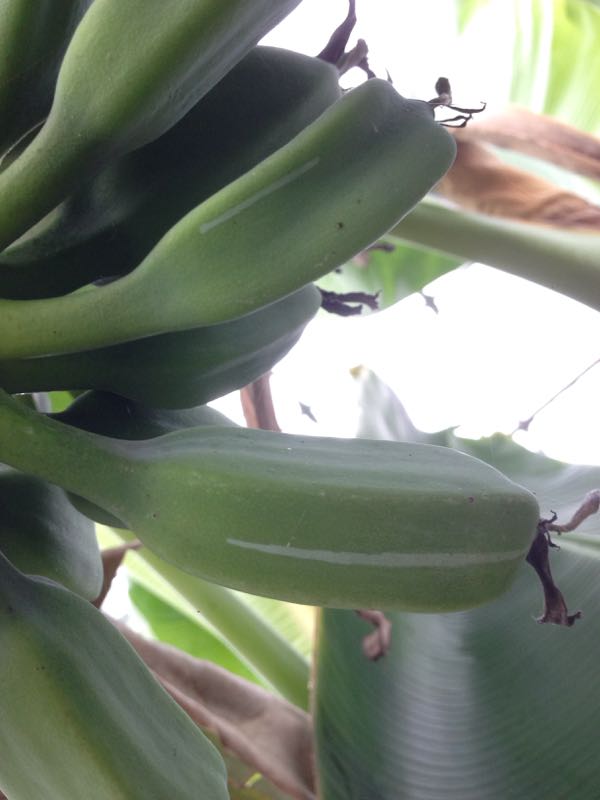 rblog-20141103004648-01.jpg