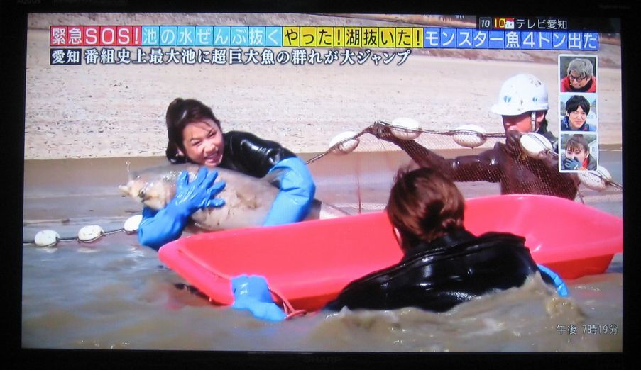 ウォーキングの目的地として佐布里池へ向かう意味が無くなった 歌 と こころ と 心 の さんぽ 楽天ブログ