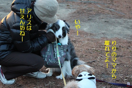 あまえんぼう