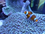 DSCN1385.jpg