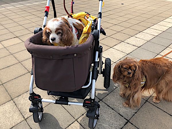 rblog-20180303231628-02.jpg