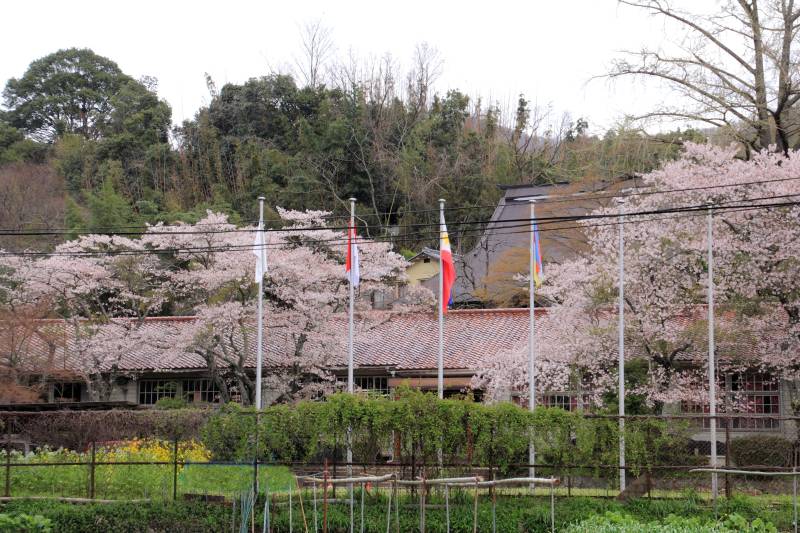 能勢黒川_002オイスカ関西研修センター.jpg