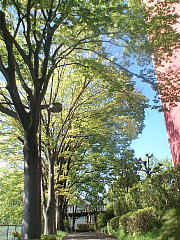 conv0303.JPG