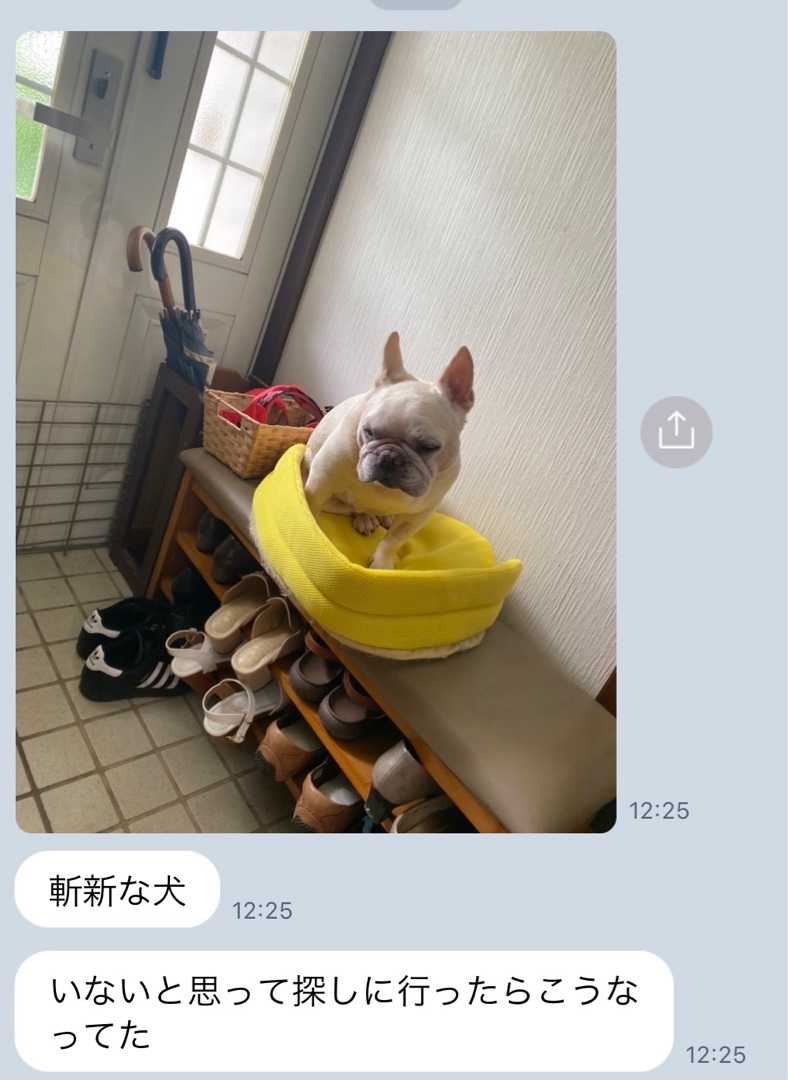 愛犬 の記事一覧 しあわせまんじゅう 楽天ブログ