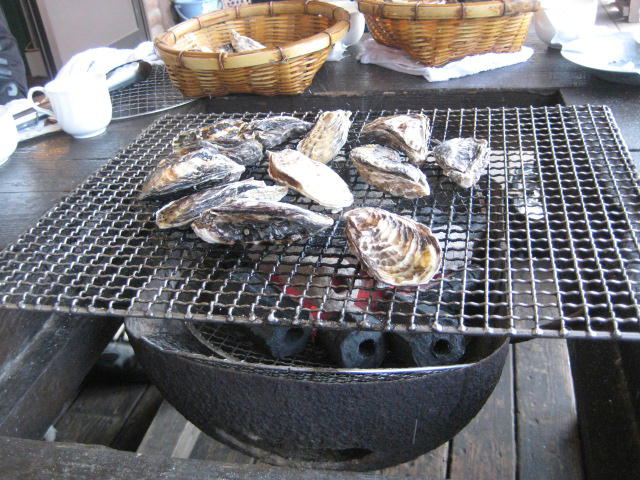 IMG_7930.JPG